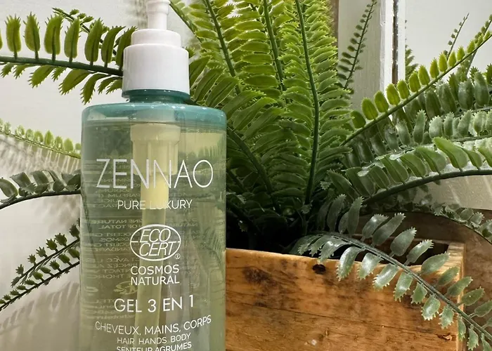 Cote Cour - Voute By Prim0 C0nciergerie * Aubière